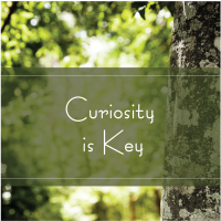 Trees Are Key Curiosity is Key